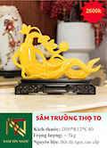 SÂM TRƯỜNG THỌ SIZE TO